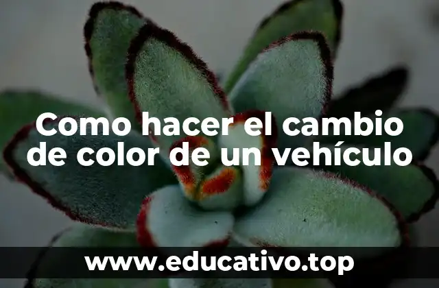 Como hacer el cambio de color de un vehículo