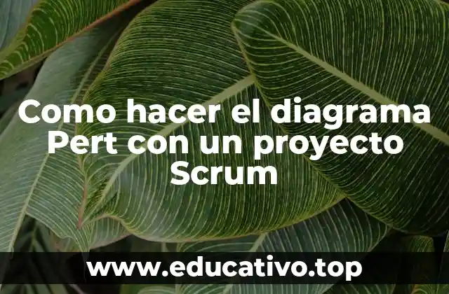 Como hacer el diagrama Pert con un proyecto Scrum