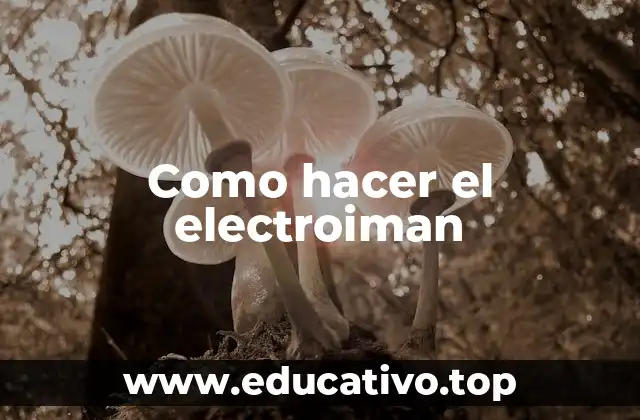 Como hacer el electroiman