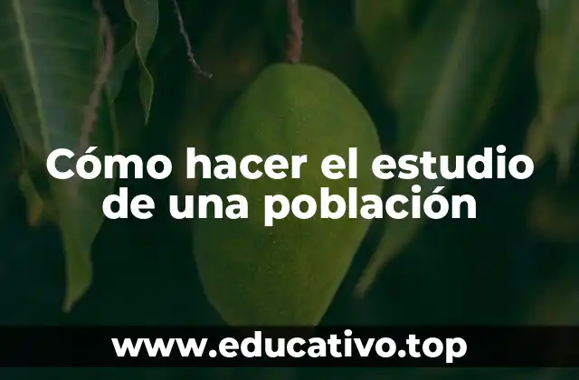 Cómo hacer el estudio de una población