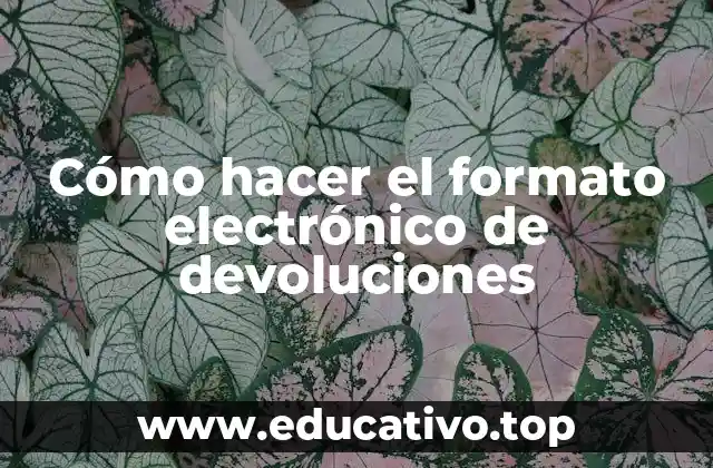 Cómo hacer el formato electrónico de devoluciones
