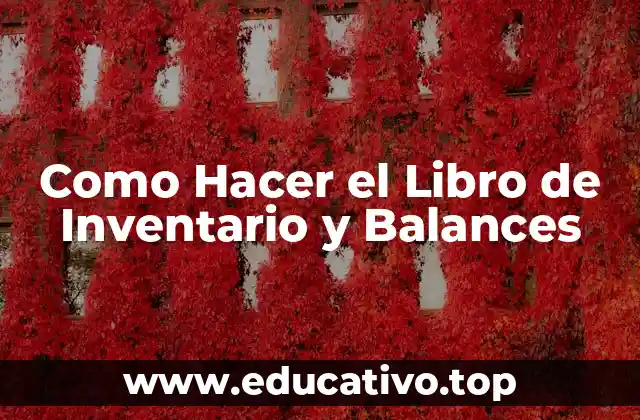 Como Hacer el Libro de Inventario y Balances