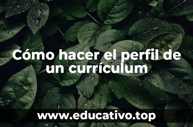 Cómo hacer el perfil de un currículum