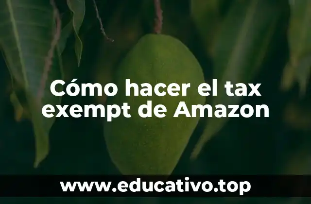 Cómo hacer el tax exempt de Amazon