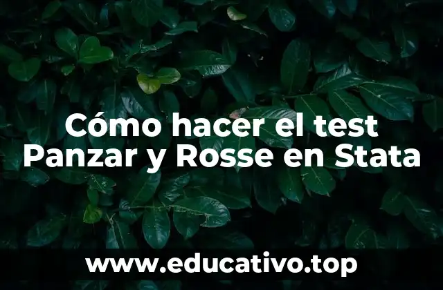 ¿Qué es el Test Panzar y Rosse?