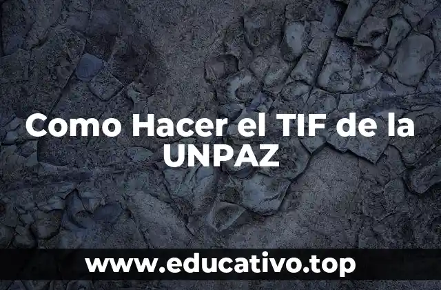 Como Hacer el TIF de la UNPAZ