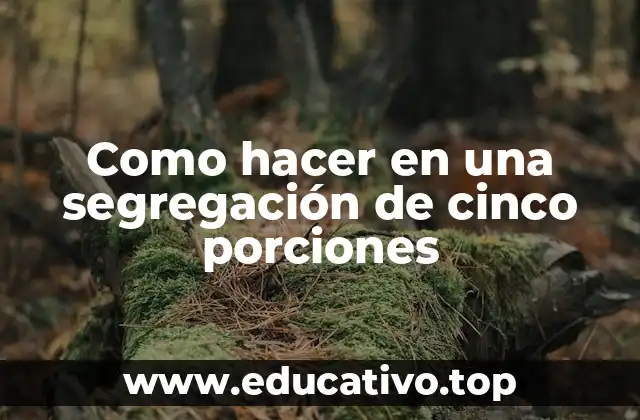 Como hacer en una segregación de cinco porciones
