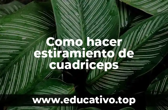 Como hacer estiramiento de cuadriceps