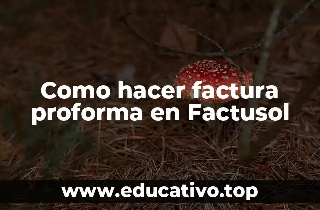 Como hacer factura proforma en Factusol