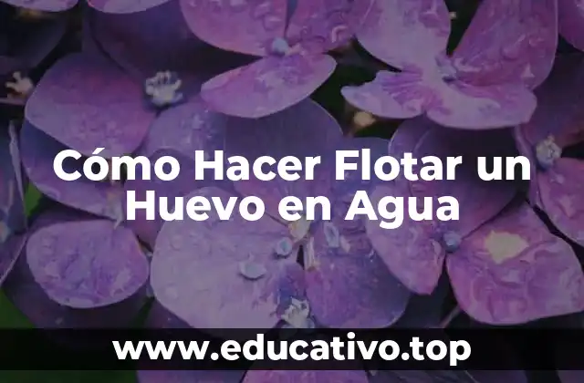 Cómo Hacer Flotar un Huevo en Agua
