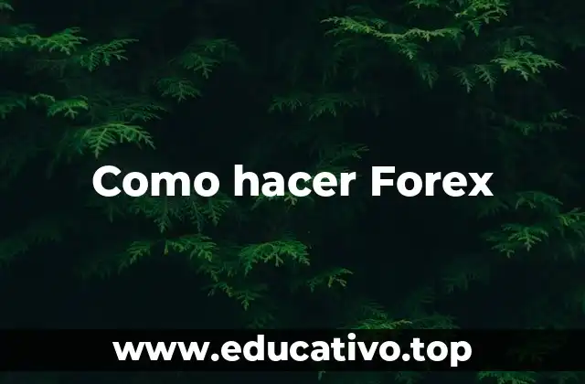 ¿Qué es Forex y cómo funciona?
