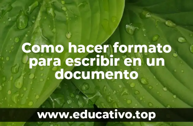 Como hacer formato para escribir en un documento