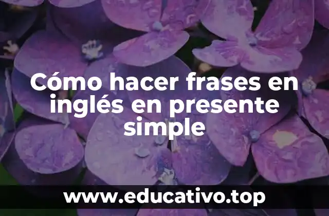 Cómo hacer frases en inglés en presente simple