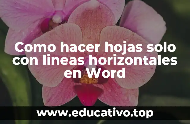 Como hacer hojas solo con lineas horizontales en Word