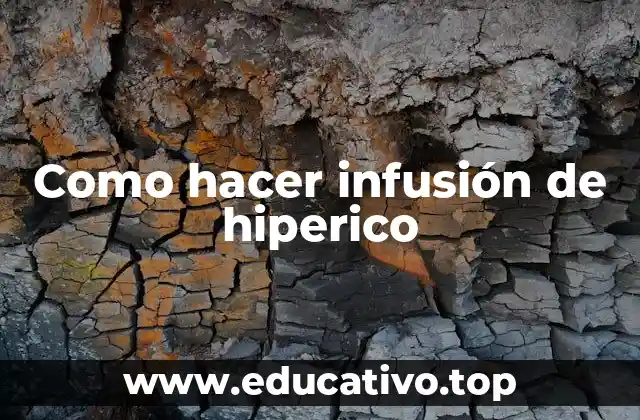 Como hacer infusión de hiperico