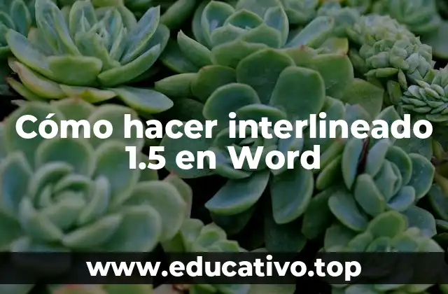 ¿Qué es el interlineado 1.5 en Word?