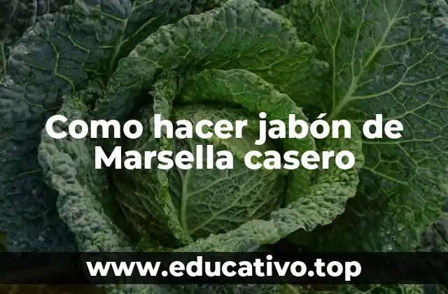 Como hacer jabón de Marsella casero