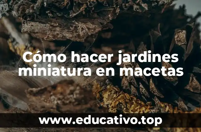 Cómo hacer jardines miniatura en macetas