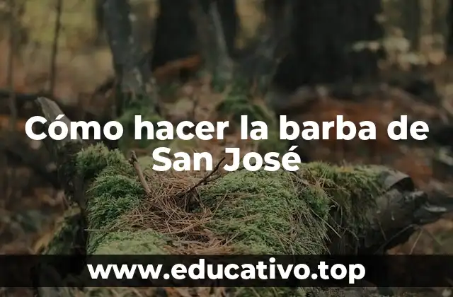 Cómo hacer la barba de San José
