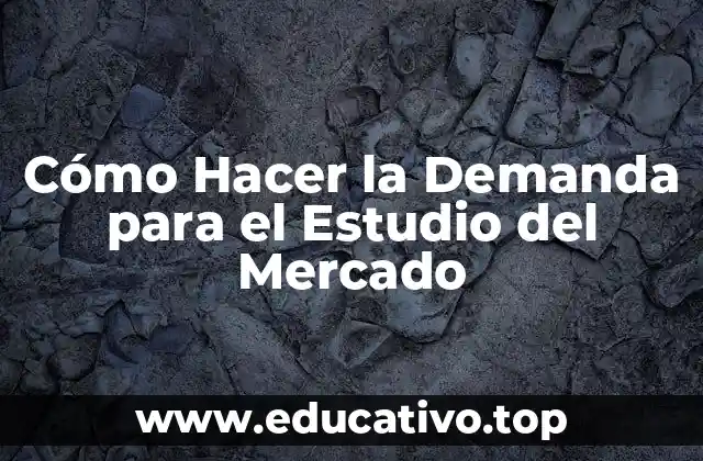 Cómo Hacer la Demanda para el Estudio del Mercado