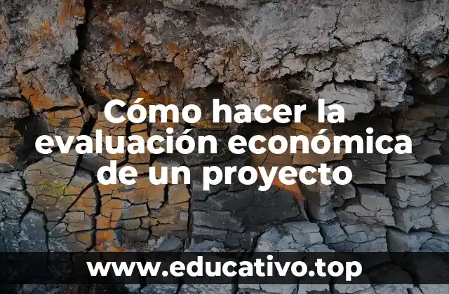 Cómo hacer la evaluación económica de un proyecto