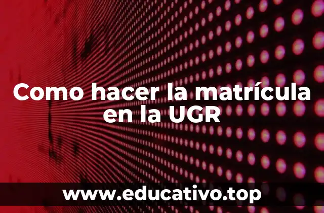 Como hacer la matrícula en la UGR