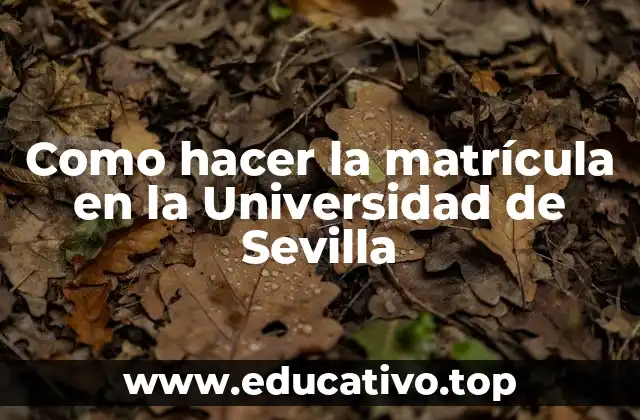 Como hacer la matrícula en la Universidad de Sevilla