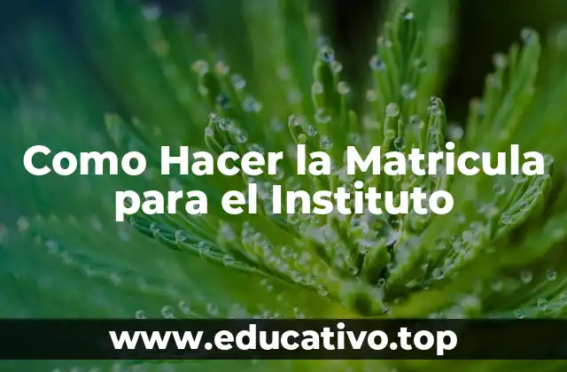 Como Hacer la Matricula para el Instituto