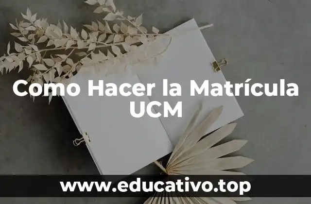 Como Hacer la Matrícula UCM