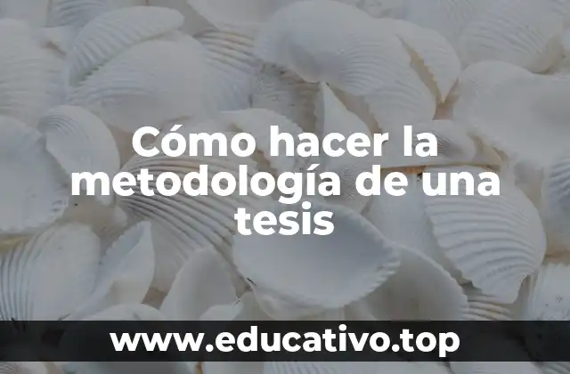 Cómo hacer la metodología de una tesis