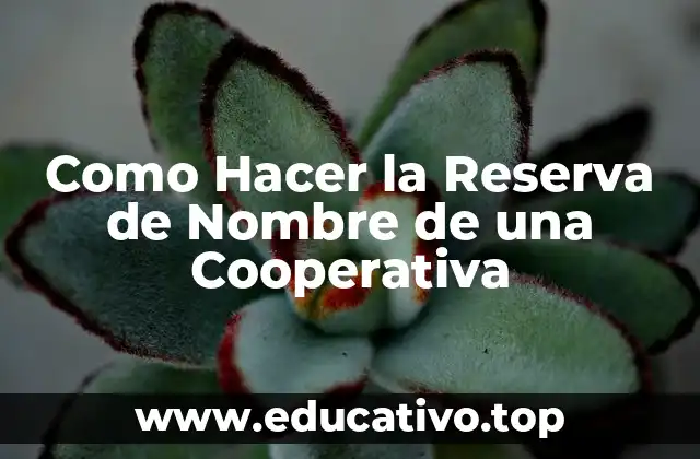 Como Hacer la Reserva de Nombre de una Cooperativa