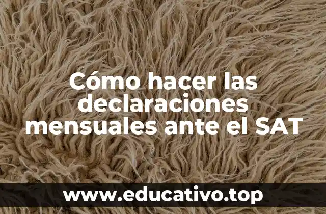 Cómo hacer las declaraciones mensuales ante el SAT