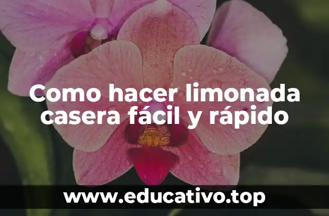 Como hacer limonada casera fácil y rápido