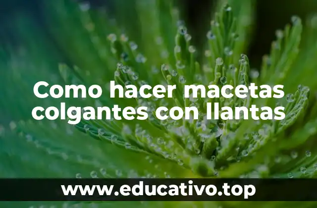 Como hacer macetas colgantes con llantas