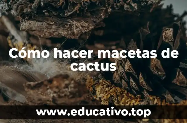 Cómo hacer macetas de cactus