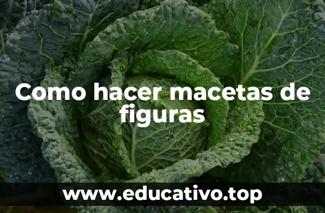 Como hacer macetas de figuras