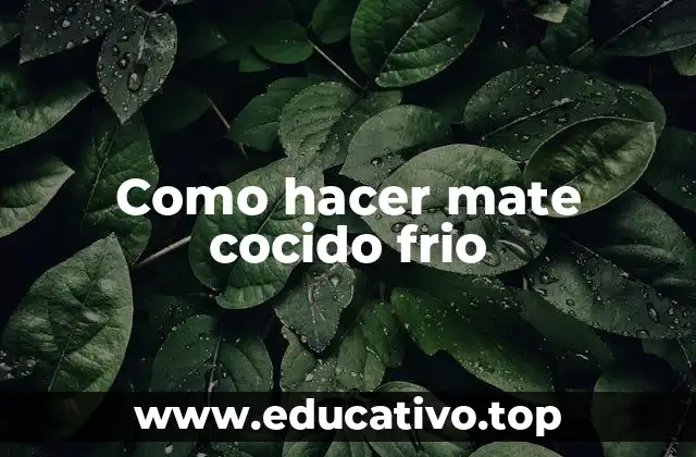 Como hacer mate cocido frio
