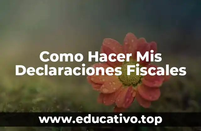 Como Hacer Mis Declaraciones Fiscales