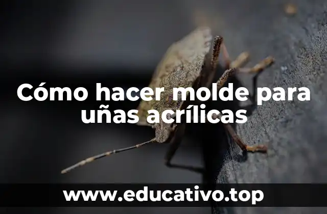 Cómo hacer molde para uñas acrílicas
