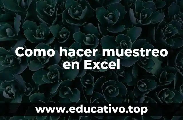 Como hacer muestreo en Excel