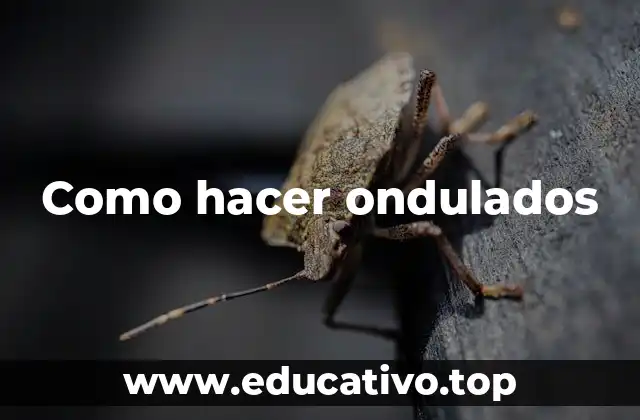 Qué son ondulados y para qué sirven