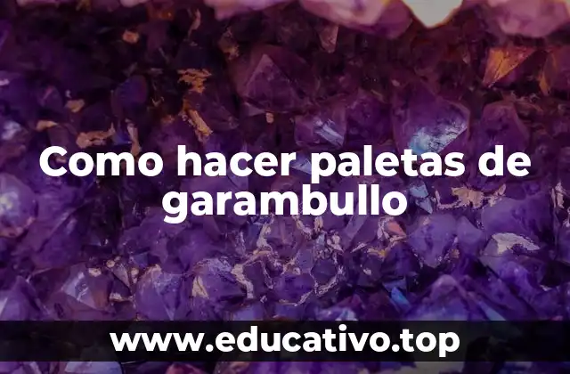 ¿Qué son las paletas de garambullo?