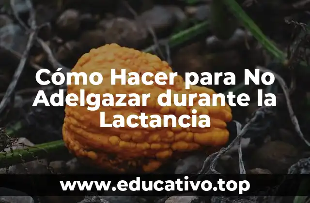 Cómo Hacer para No Adelgazar durante la Lactancia