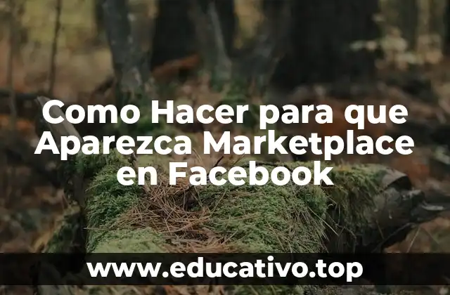 Como Hacer para que Aparezca Marketplace en Facebook