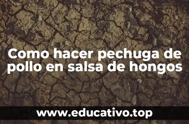 Como hacer pechuga de pollo en salsa de hongos