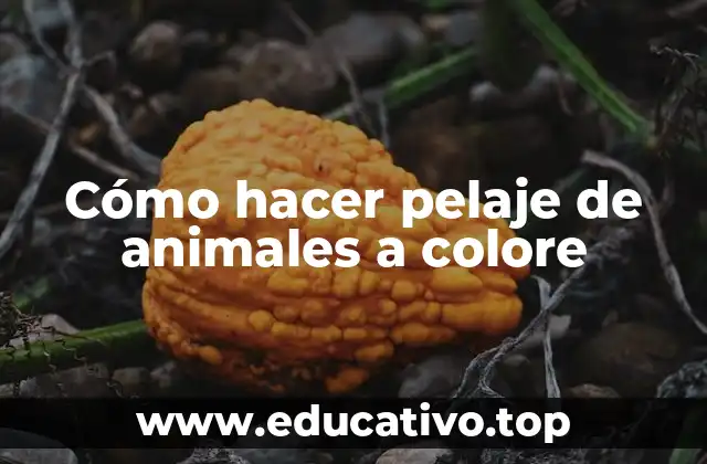 Cómo hacer pelaje de animales a colore