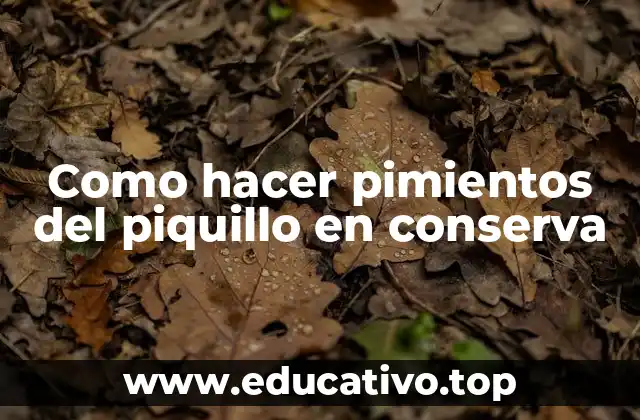 Como hacer pimientos del piquillo en conserva