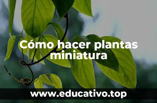 Cómo hacer plantas miniatura