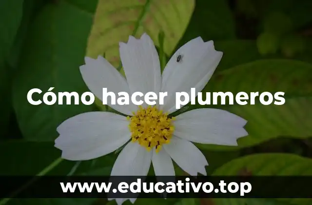 Cómo hacer plumeros