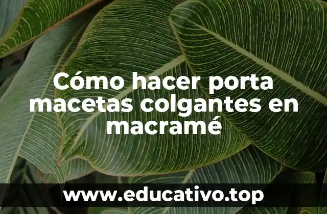 Cómo hacer porta macetas colgantes en macramé